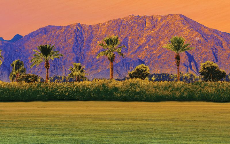 Ernie Ball Artist Coachella Line Up Announcement