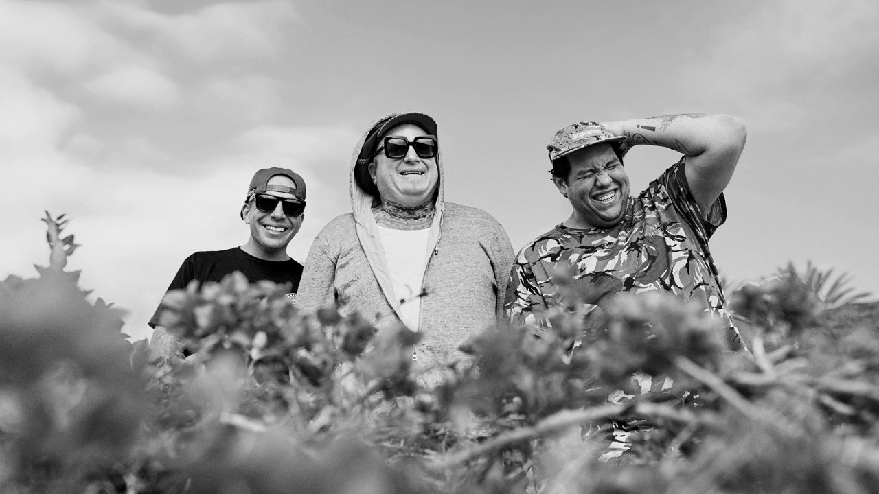 Follow Friday: Sublime With Rome, Naia Izumi, Starcrawler and More