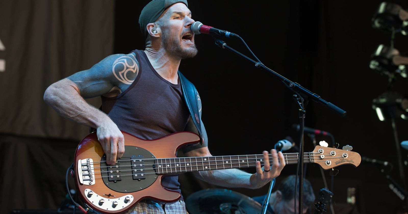 StingRay Bass vs. Sterling Bass Comparison